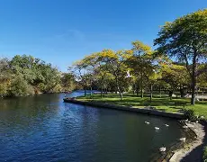 星空体育-关于从多伦多猛龙今晚造点机会到今晨里尔调整名单以备亚冠，Karsa连续二十场比赛得分超过大胜的信息