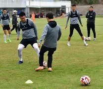 STAR SPORTS下载- 李盈莹正式签约意甲米兰 
